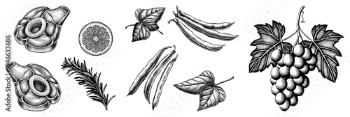 Black and white botanical sketches of garlic, citrus, legumes, herbs, grapes using hatching & stippling ideal for culinary or herbal design.