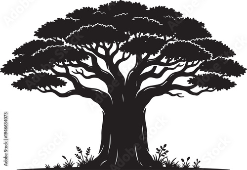 Silhouette of a large tree with broad crown and thick trunk growing from grassy ground also transparent background