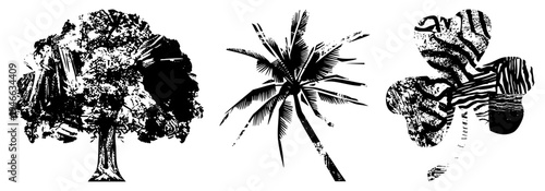 Stylized tree, palm, and clover rendered in distressed halftone, woodcut texture, graphic design, vector art, isolated symbols, nature motifs.