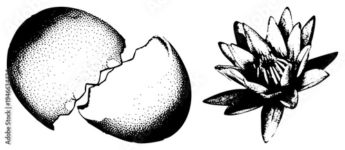 Cracked texture rendered in halftone dots, paired with stylized water lily flower, vector art,, botanical illustration, isolated elements.
