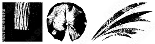 Graphic design elements featuring tree bark texture, leaf venation, and feather like strokes, rendered in high contrast. Vector cutouts with halftone grain effects for artistic composition.