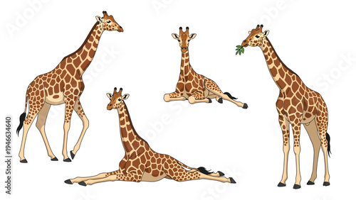 Set of cartoon giraffes in various poses isolated on white background