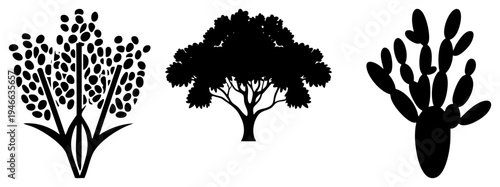 Vector plant silhouettes including corn with kernels, oak tree with dense canopy, and cactus with pads, all in flat black style, isolated foreground elements.