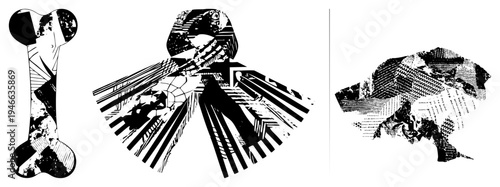 Stylized bone, octopus, and dinosaur rendered with halftone textures, vector art, graphic design, black and white, isolated shapes, bold.