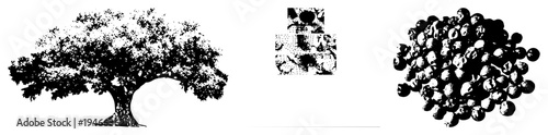 Black and white halftone tree silhouette, peppercorn cluster, abstract blocks vector graphic elements for design, isolated on transparent background.