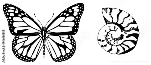 Black and white vector art of monarch butterfly with wing and nautilus spiral, isolated graphic design elements, nature motifs, scientific illustration style.