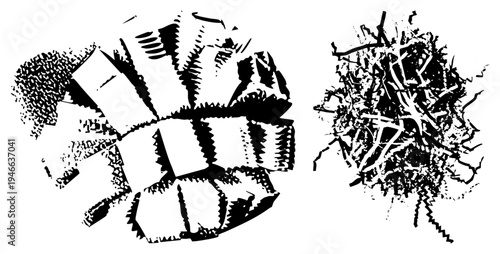 Graphic composition of fragmented geometric shapes and chaotic organic, rendered in high contrast halftone style, isolated vector art with sharp edges and textured shading.