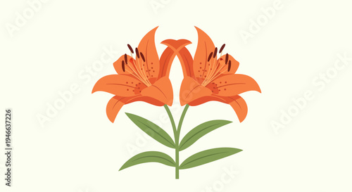 Orange Lilies Flowers Blooming Beautifully Together.