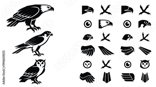 Raptor bird vector illustration collection featuring eagle falcon and owl silhouettes with head wing claw and eye icons isolated white