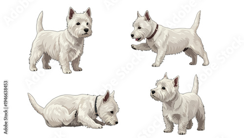 Cute West Highland White Terrier Dog Illustrations Set. Four Westie Puppies in Various Poses, Digital Art.