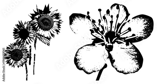 Graphic illustration of sunflowers and a single bloom, rendered in bold black with halftone shading, ideal for print or digital design. Sunflower cluster, silhouette, botanical vector.