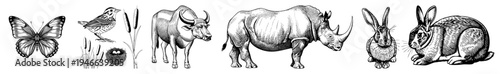 Hand drawn wildlife sketches butterfly, songbird, buffalo, rhino, rabbits. Classic engraving style with hatching. Ideal for nature prints or education.