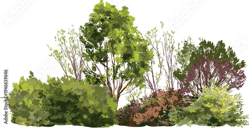 Diverse green and brown foliage with bare branches