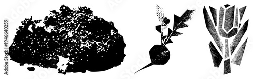 Stylized beetroot, leafy vegetable, and tulip in halftone, vector graphic,, isolated foreground elements, graphic design motifs.