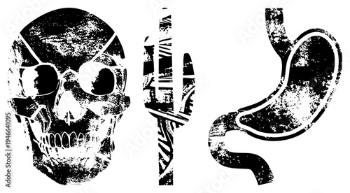 Distressed vector skull with sunglasses, cactus, and stomach, gritty halftone style, isolated graphic elements, medical or desert themed design.