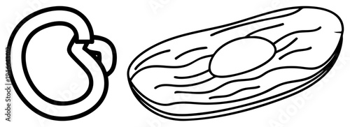 Black drawing of peanut and earbud, minimalist vector art, isolated objects, device and nut illustration.