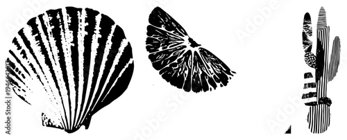 Black and white halftone illustrations of, citrus wedge, and desert cactus, graphic design elements, vector cutouts, isolated nature motifs, bold.