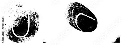 Stylized graphic elements using halftone dot, curved organic shapes, vector, isolated design elements, black and white contrast, modern minimalism.