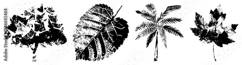 Vector leaf and tree designs with halftone textures, botanical illustrations, nature motifs, graphic, art, foliage elements, plant forms.