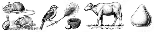 Classic dot matrix engraved drawings of mice, sparrow, cow, and, vintage natural history style, isolated black and white vector art.