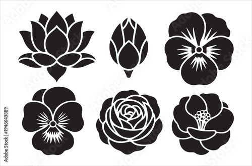 Black silhouettes of various blooming flowers arranged in a grid pattern