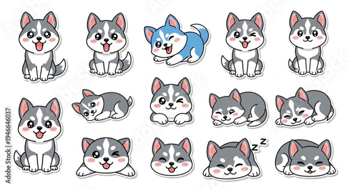 Collection of cute husky puppies in various poses and expressions.
