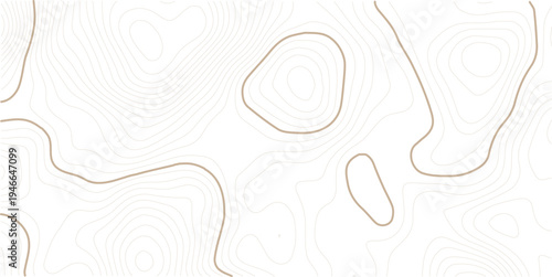 The stylized multicolored wavy abstract topographic map contour, lines Pattern background. white background topo 