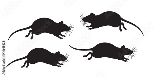 Rat Silhouette Vector