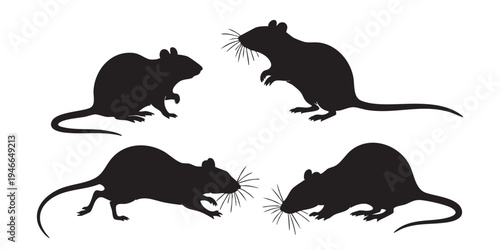 Rat Silhouette Vector