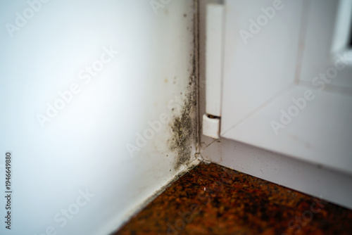 Black mold stains on a wall caused by indoor humidity