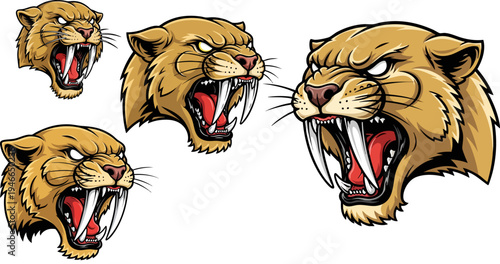 Set of 4 Roaring Saber-Toothed Tiger Heads Vector Illustration for Sports Mascots, Logos, and Aggressive Brand Identity Designs