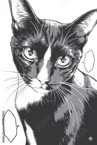 A cat illustration in manga/Japanese cartoon style, with black characters separated from a white background.