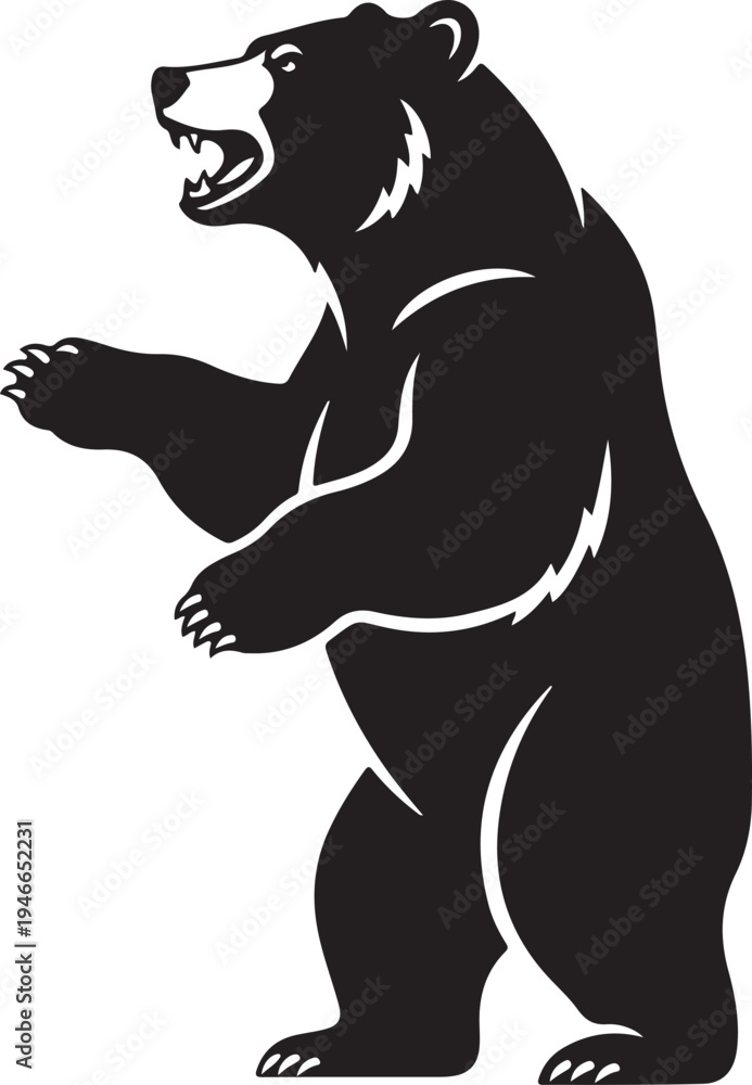 Fototapeta premium Black Bear Standing on Hind Legs Roaring Vector Illustration.
