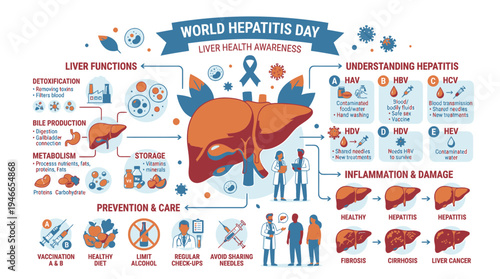 World Hepatitis Day Infographic Liver Health Awareness vector illustration