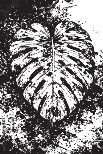 Single Monstera Leaf Grunge Texture