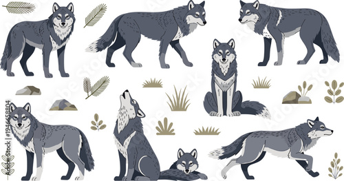 Gray Wolf Character Set with Standing, Walking, Sitting, Howling, and Resting Poses with Forest Plants and Nature Elements Wildlife Illustration