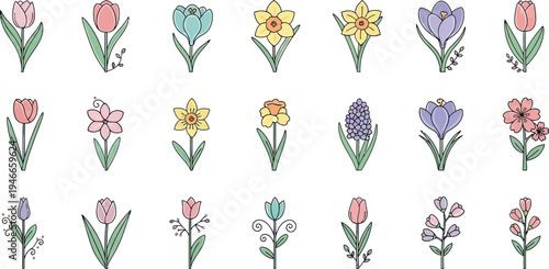 Collection of spring flowers with delicate petals and green leaves tulip daffodil