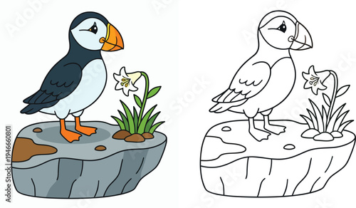 Cute cartoon puffin bird on a rock with a flower Vector coloring book page illustration with color and black white outline