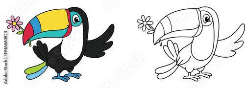 Cute cartoon toucan bird holding a flower Colorful vector illustration and black and white outline for coloring book page