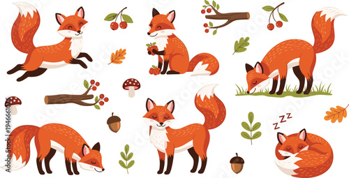 Cute Red Fox Character Set with Sleeping, Walking, Sitting, and Hunting Poses with Forest Leaves, Mushrooms, and Woodland Nature Elements