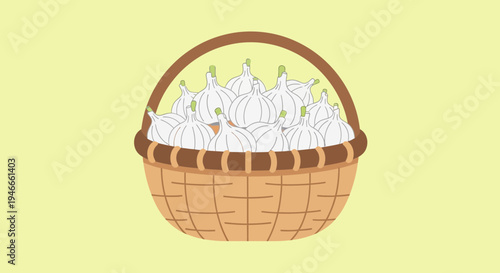 Basket of Fresh Garlic Bulbs