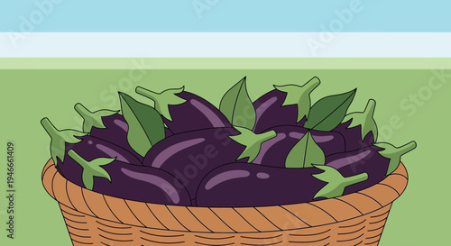 Basket of Fresh Eggplants with Green Leaves, Farm Harvest, Healthy Food