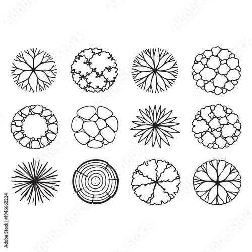 CAD Trees Top View Set – Landscape Design and Architectural Elements