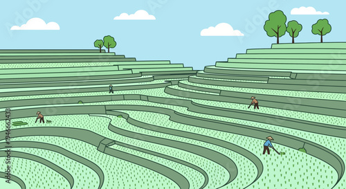 Farmers Cultivating Green Rice Terraces Under a Blue Sky