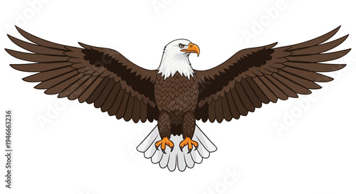 Illustration of a bald eagle with outstretched wings on a white background