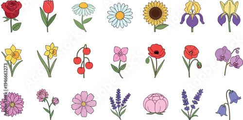 Collection of various colorful cartoon flowers and berries