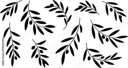 Black olive branch silhouette vector collection featuring hand drawn leafy sprigs with olives isolated on white background for organic mediterranean wedding invitation design and eco friendly    