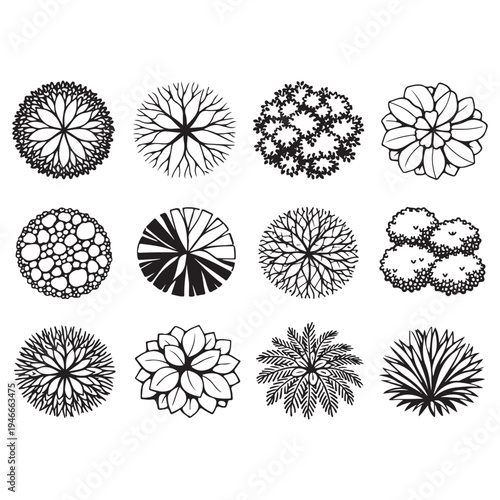 CAD Trees Top View Set – Landscape Design and Architectural Elements