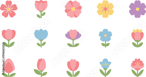 Colorful flower in rows on white background flowers tulips daisies