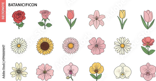 Colorful flowers in rows on white background botanical plants
